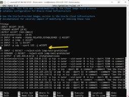 use your keyboard's arrow keys to navigate to the start of the -A INPUT -p tcp -m state --state NEW -m tcp --dport 22 -j ACCEPT line and hit delete until the line is blank, we're going to replace the rule with two new lines in the next step