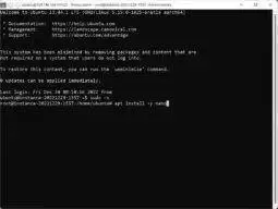we need to install a text editor. Please copy and paste apt install nano -y (the -y switch auto-accepts the additional use of space so the installation completes automatically) to install Nano, if you prefer a different a different command-line text editor feel free to install it at this point
