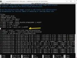 use your keyboard's arrow keys to navigate to the start of the -A INPUT -p tcp -m state --state NEW -m tcp --dport 22 -j ACCEPT line and hit delete until the line is blank, we're going to replace the rule with two new lines in the next step