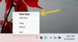 with Pageant loaded, either right-click on icon in the system tray then select View Keys or double-click the icon to open it