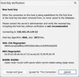 open the connection and if everything worked your SSH client should pop up a notice to accept the host key - click to accept