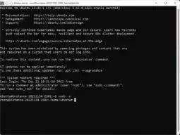 this step may be a little controversial but I like to grant the user (ubuntu) root access using the sudo -s command, I find it annoying to repetitively preface almost every command with sudo so this allows me to grant root-level permissions once, used at the start of the session