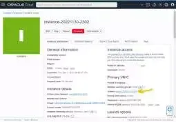 on the Instance details page find the Primary VNIC section and click the link on the right side of the Subnet: line