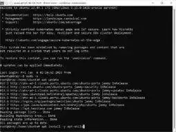 now install Ubuntu updates by typing apt update then hit enter. When the update process is complete we need to install apt-utils. Please copy and paste apt install -y apt-utils into your SSH terminal then hit enter