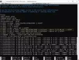look for a line which reads -A INPUT -p tcp -m state --state NEW,ESTABLISHED -m multiport --dports 22,53,80,443 -j ACCEPT and use the arrow keys on your keyboard to move the cursor to the end of the port list 22,53,80,443